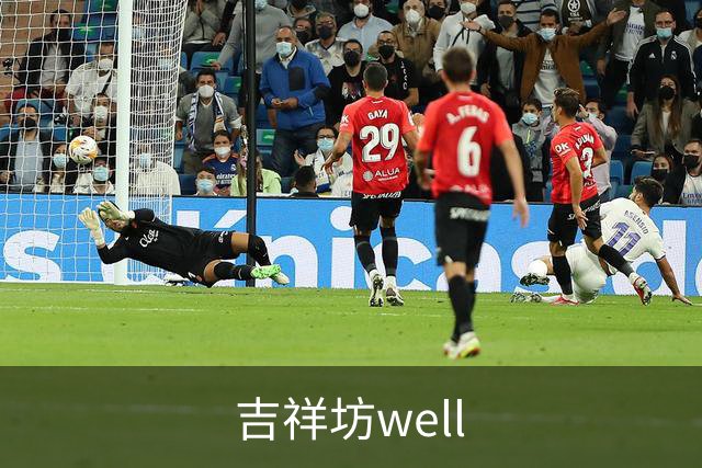 吉祥坊well公司简介